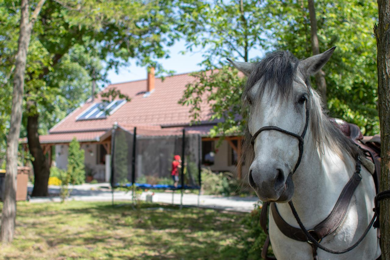Готель Toelgyfa Vendeghaz Кішкйорйош Екстер'єр фото