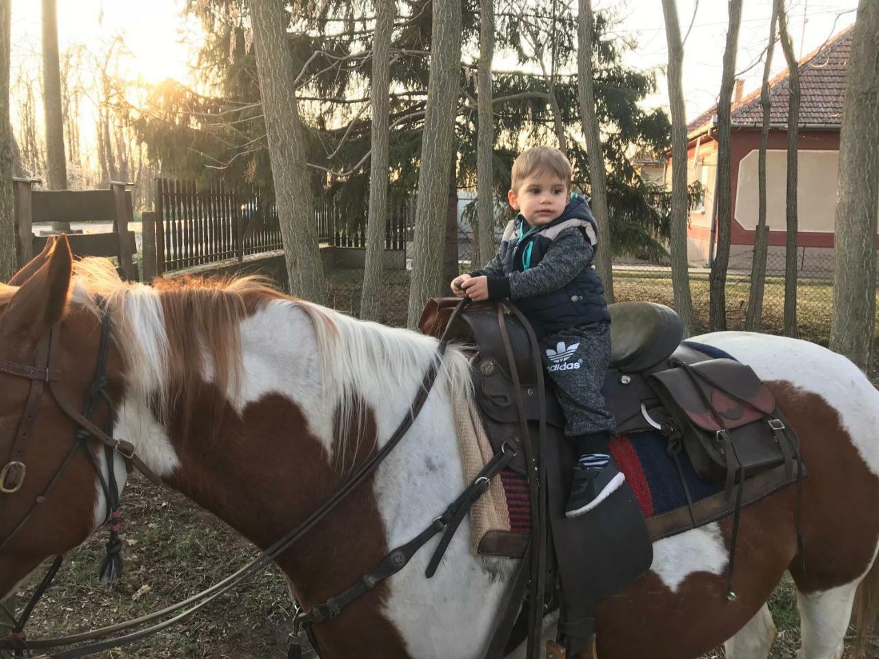 Готель Toelgyfa Vendeghaz Кішкйорйош Екстер'єр фото
